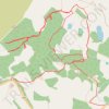 Discovering Newtyle Hill tracks by bicycle trail, distance, elevation, map, profile, GPS track
